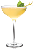 Champagne Margarita Recipe submitted by Baja Bob fan Christie Wright