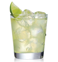 Premier On-The-Rocks Margarita Recipe submitted by Baja Bob fan Terree White