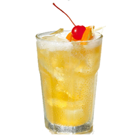 Baja Bob's Whiskey or Vodka Sour Recipe
